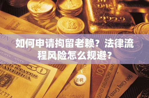 武汉如何申请拘留老赖？法律流程风险怎么规避？