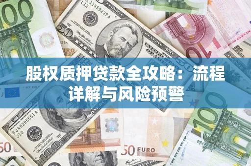 武汉股权质押贷款全攻略：流程详解与风险预警