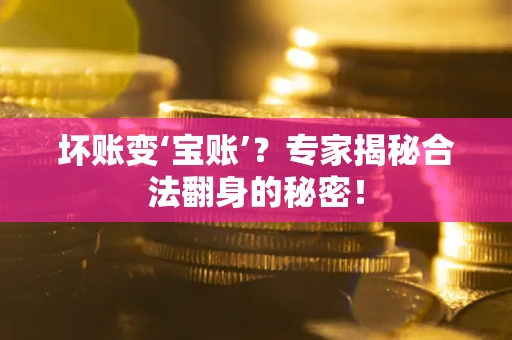 武汉坏账变‘宝账’？专家揭秘合法翻身的秘密！