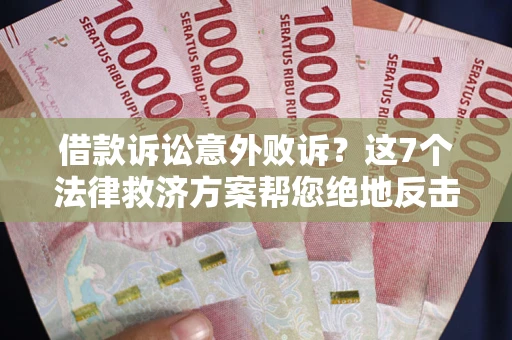 武汉借款诉讼意外败诉？这7个法律救济方案帮您绝地反击！