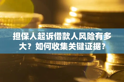 武汉担保人起诉借款人风险有多大？如何收集关键证据？