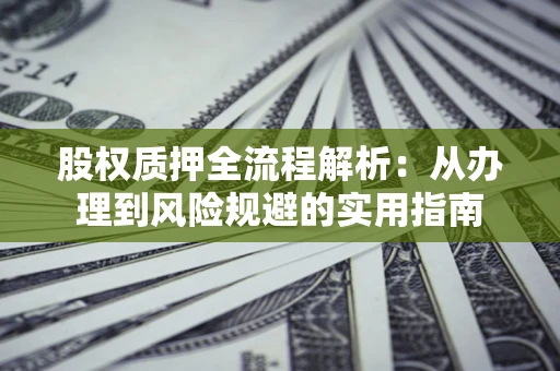 武汉股权质押全流程解析：从办理到风险规避的实用指南