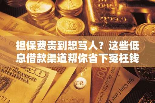 武汉担保费贵到想骂人？这些低息借款渠道帮你省下冤枉钱