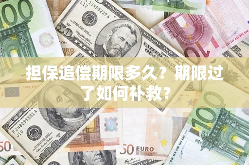 武汉担保追偿期限多久？期限过了如何补救？