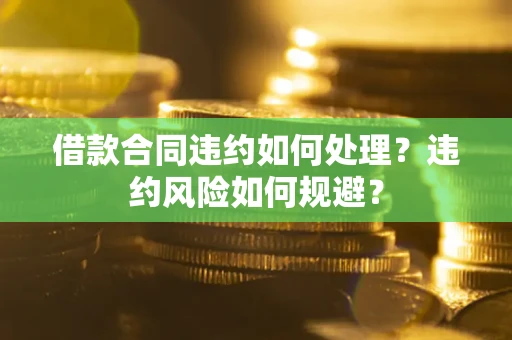 武汉借款合同违约如何处理？违约风险如何规避？