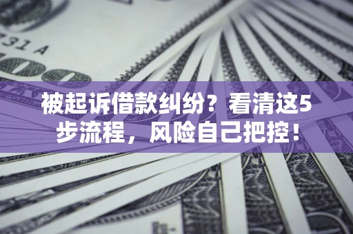 武汉被起诉借款纠纷？看清这5步流程，风险自己把控！