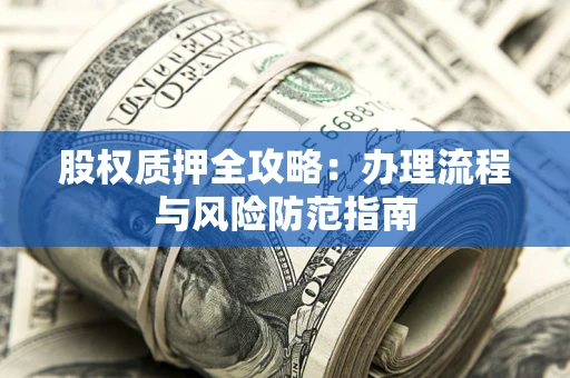 武汉股权质押全攻略：办理流程与风险防范指南