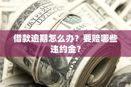 武汉借款逾期怎么办？要赔哪些违约金？