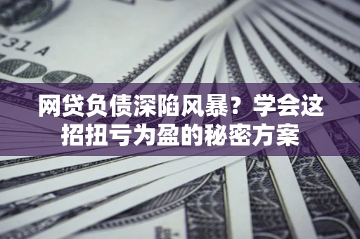 武汉网贷负债深陷风暴？学会这招扭亏为盈的秘密方案